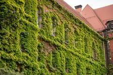 Muzeum Narodowe we Wrocławiu